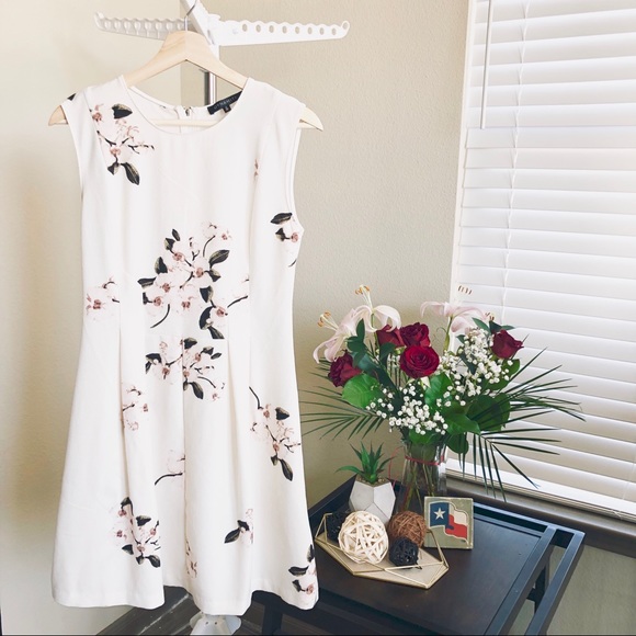 dynamite fit and flare dress